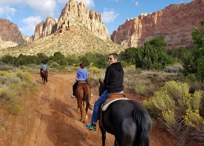 Zion'S Most Wanted Hotel